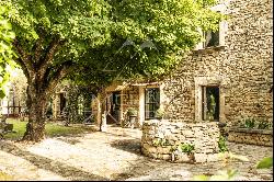 Charming Provencal mas near Isle-sur-la-Sorgue