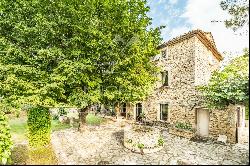 Charming Provencal mas near Isle-sur-la-Sorgue