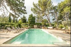 Charming Provencal mas near Isle-sur-la-Sorgue