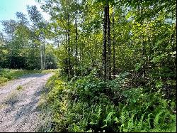 Building Lot near Martins Pond