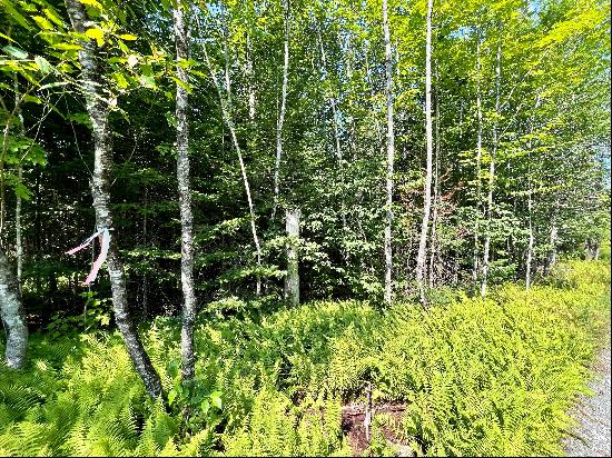 Building Lot near Martins Pond