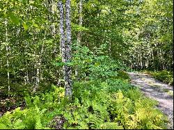 Building Lot near Martins Pond