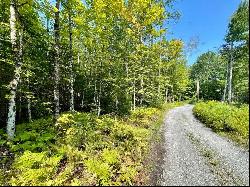 Building Lot near Martins Pond