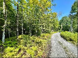 Building Lot near Martins Pond