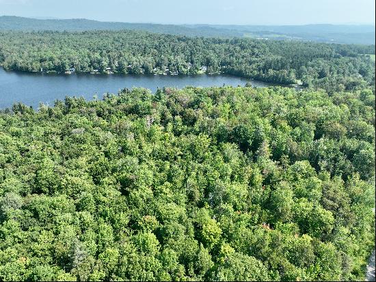 Martins Pond Lake Frontage