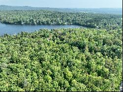 Martins Pond Lake Frontage