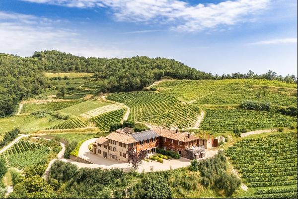 Magnificent property with winery in the Langhe region