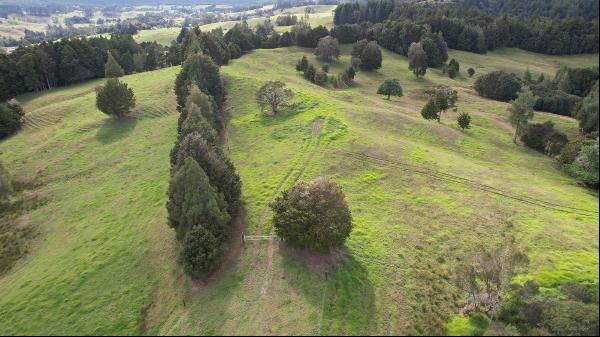 372 Omahuta Road, Mangamuka, Northland, NEW ZEALAND