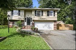 Fully Renovated Cobb County Home