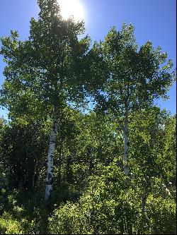 Private Teton Saddleback Vistas Building Site