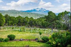 5347 County Road 100, Carbondale, CO 81623