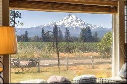 4320 LEASURE DR Mt Hood Prkdl, OR 97041