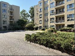 1204 Whitney Avenue #APT 104, Hamden CT 06517