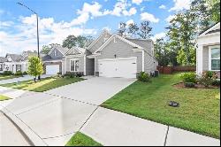 111 S Cornucopia Bend, Dallas GA 30132