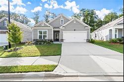 111 S Cornucopia Bend, Dallas GA 30132