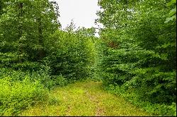 Lot 4 Aplin Hill Lane, Woodstock CT 06281