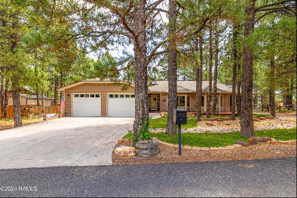 3114 N Tam Oshanter Drive, Flagstaff AZ 86004