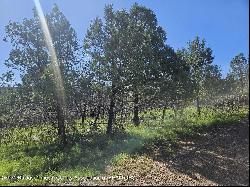 TBD Homestead Heights Drive, Ruidoso NM 88345