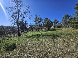 TBD Homestead Heights Drive, Ruidoso NM 88345