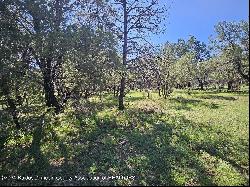 Lot 5A Homestead Heights Drive, Ruidoso NM 88345