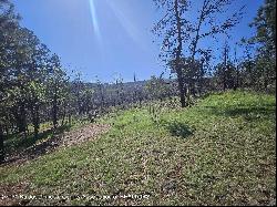 Lot 5A Homestead Heights Drive, Ruidoso NM 88345