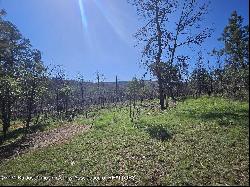 Lot 5A Homestead Heights Drive, Ruidoso NM 88345