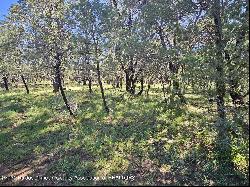 Lot 5A Homestead Heights Drive, Ruidoso NM 88345