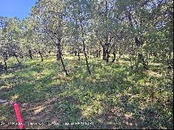 Lot 5A Homestead Heights Drive, Ruidoso NM 88345