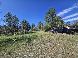 Lot 5A Homestead Heights Drive, Ruidoso NM 88345