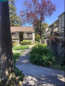 2560 WALNUT BLVD. #41, Walnut Creek CA 94596