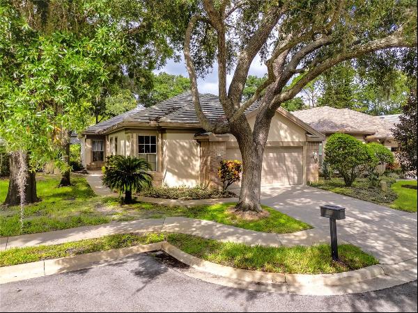 3570 Golfside Drive, Palm Harbor FL 34685