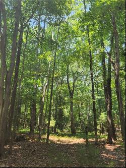 6.3 AC Harris Creek Road, Hampton VA 23668