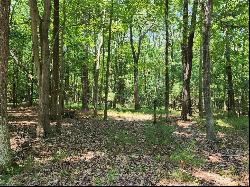 6.3 AC Harris Creek Road, Hampton VA 23668