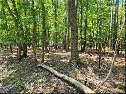 6.3 AC Harris Creek Road, Hampton VA 23668