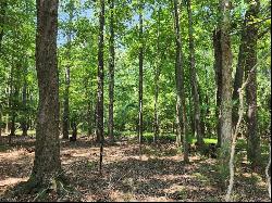 6.3 AC Harris Creek Road, Hampton VA 23668