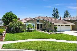 1725 N Williamsburg Street, Orange CA 92867