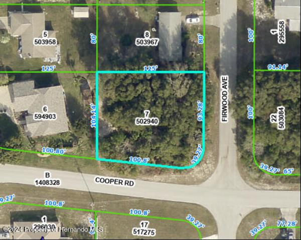 13907 Cooper Road, Spring Hill FL 34609