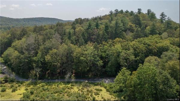 Pond Gut Road, Pleasant Valley NY 12569