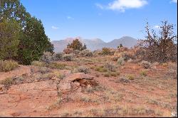 127 FLAT IRON MESA RD #43, La Sal UT 84530