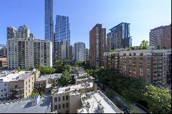 33 W Delaware Place #11G, Chicago IL 60610