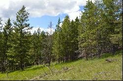 NHN Cosmos Lane, Kalispell MT 59901