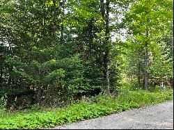 Grouse Creek Lot #2, Lake Placid NY 12946