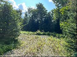 Grouse Creek Lot #2, Lake Placid NY 12946