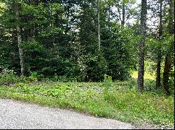 Grouse Creek Lot #2, Lake Placid NY 12946