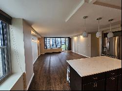 400 E Randolph Street #1229, Chicago IL 60601