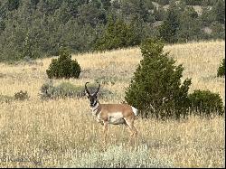 TBD Gold Bar Lode, Radersburg MT 59641