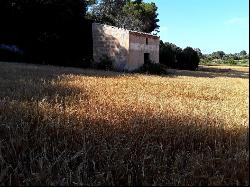 Rustic plot for sale in San Joan, Mallorca, Sant Joan 07240