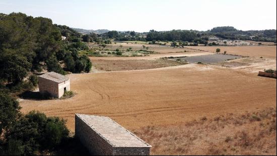 Rustic plot for sale in San Joan, Mallorca, Sant Joan 07240