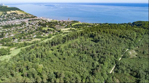 Woodlands At Peak Hill, Sidmouth, Devon, EX10 0LY