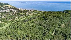 Woodlands At Peak Hill, Sidmouth, Devon, EX10 0LY